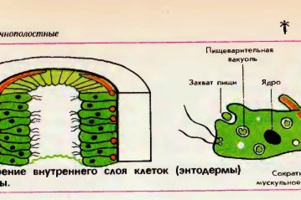 Где найти ссылку на кракен