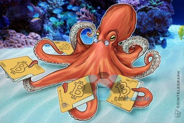 Kraken гидра