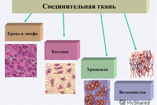 Проверенная ссылка кракен