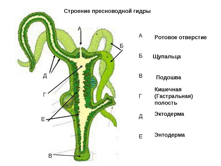 Ссылки кракен телеграф